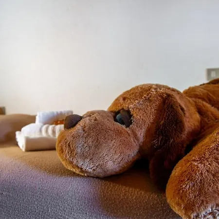 Le Mazot 木屋 库马约尔