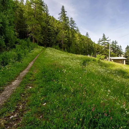 Le Mazot シャレー *